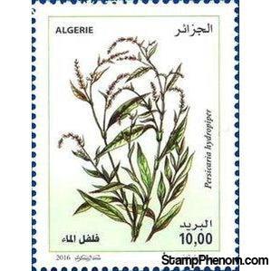 Algeria 2016 Persicaria hydropiper-Stamps-Algeria-Mint-StampPhenom