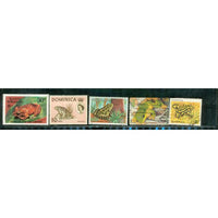 All Different Frogs , 5 stamps