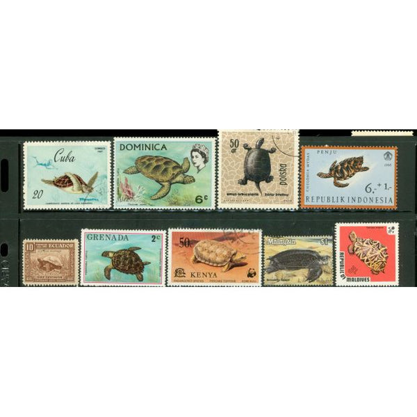 All Different Turtles Lot 2 , 9 stamps