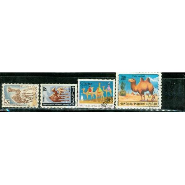 All Different Camels , 4 stamps - All Different Camels , 4 stamps