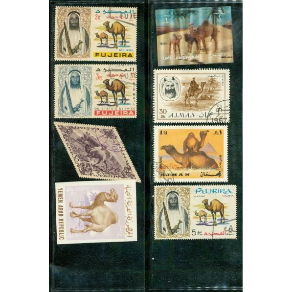All Different Camels , 8 stamps - All Different Camels , 8 stamps