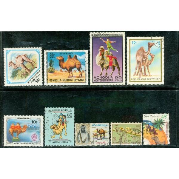 All Different Camels , 9 stamps Lot 2 - All Different Camels , 9 stamps Lot 2