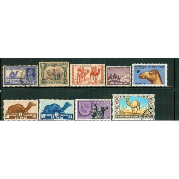 All Different Camels , 9 stamps - All Different Camels , 9 stamps