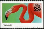 United States of America 1992 American Flamingo (Phoenicopterus ruber)