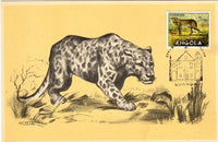 Angola 1953 Angola Animals-Stamps-Angola-StampPhenom