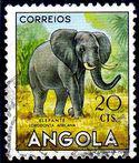 Angola 1953 Angola Animals-Stamps-Angola-StampPhenom