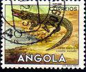 Angola 1953 Angola Animals-Stamps-Angola-StampPhenom