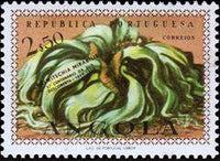 Angola 1959 Discovery of Welwitschia - Centenary-Stamps-Angola-StampPhenom