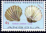 Angola 1974 Sea Shells-Stamps-Angola-StampPhenom