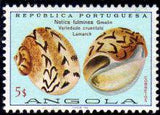 Angola 1974 Sea Shells-Stamps-Angola-StampPhenom