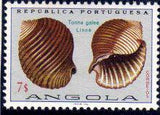 Angola 1974 Sea Shells-Stamps-Angola-StampPhenom