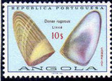 Angola 1974 Sea Shells-Stamps-Angola-StampPhenom