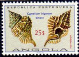 Angola 1974 Sea Shells-Stamps-Angola-StampPhenom