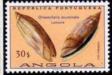 Angola 1974 Sea Shells-Stamps-Angola-StampPhenom