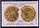 Angola 1974 Sea Shells-Stamps-Angola-StampPhenom
