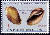 Angola 1974 Sea Shells-Stamps-Angola-StampPhenom