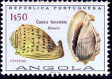 Angola 1974 Sea Shells-Stamps-Angola-StampPhenom