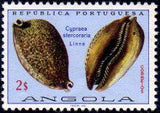 Angola 1974 Sea Shells-Stamps-Angola-StampPhenom