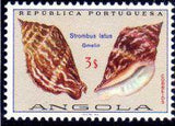 Angola 1974 Sea Shells-Stamps-Angola-StampPhenom