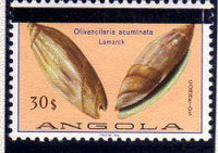 Angola 1981 Sea Shells Overprinted-Stamps-Angola-StampPhenom