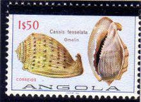 Angola 1981 Sea Shells Overprinted-Stamps-Angola-StampPhenom