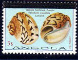 Angola 1981 Sea Shells Overprinted-Stamps-Angola-StampPhenom