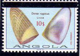 Angola 1981 Sea Shells Overprinted-Stamps-Angola-StampPhenom