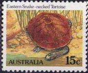 Australia 1982 Reptiles and Frogs-Stamps-Australia-Mint-StampPhenom