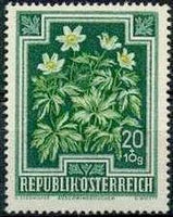 Austria 1948 Semi-Postal Flowers-Stamps-Austria-Mint-StampPhenom