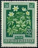 Austria 1948 Semi-Postal Flowers-Stamps-Austria-Mint-StampPhenom