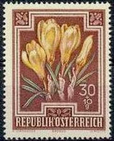 Austria 1948 Semi-Postal Flowers-Stamps-Austria-Mint-StampPhenom