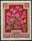 Austria 1948 Semi-Postal Flowers-Stamps-Austria-Mint-StampPhenom