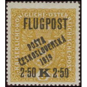 Czechoslovakia 1919 Austrian Airmail overprinted-Czechoslovakia-StampPhenom