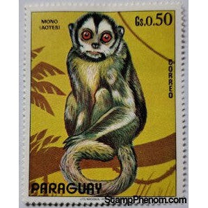 Paraguay 1972 Azara's Night Monkey (Aotus azarae)