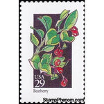 United States of America 1992 Bearberry (Arctostaphylos uva-urs)