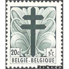 Belgium 1948 Anti Tuberculosis - Cross of Lorraine and Portraits of the Senate-Stamps-Belgium-StampPhenom