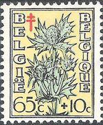 Belgium 1949 Anti Tuberculosis - Flowers and Portraits of the Senate-Stamps-Belgium-StampPhenom