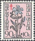 Belgium 1949 Anti Tuberculosis - Flowers and Portraits of the Senate-Stamps-Belgium-StampPhenom