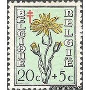 Belgium 1949 Anti Tuberculosis - Flowers and Portraits of the Senate-Stamps-Belgium-StampPhenom