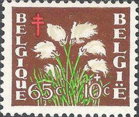 Belgium 1950 Anti Tuberculosis - Flowers and Sanatoriums-Stamps-Belgium-StampPhenom