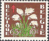 Belgium 1950 Anti Tuberculosis - Flowers and Sanatoriums-Stamps-Belgium-StampPhenom