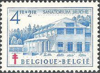 Belgium 1950 Anti Tuberculosis - Flowers and Sanatoriums-Stamps-Belgium-StampPhenom