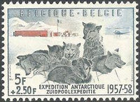 Belgium 1957 Belgian Antarctic Expedition-Stamps-Belgium-StampPhenom