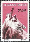 Belgium 1961 Animals of the Antwerp Zoo-Stamps-Belgium-StampPhenom