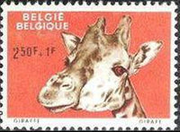 Belgium 1961 Animals of the Antwerp Zoo-Stamps-Belgium-StampPhenom