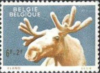 Belgium 1961 Animals of the Antwerp Zoo-Stamps-Belgium-StampPhenom