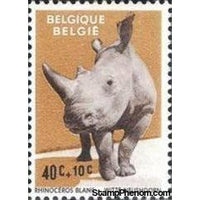 Belgium 1961 Animals of the Antwerp Zoo-Stamps-Belgium-StampPhenom