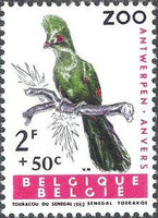 Belgium 1962 Animals of the Antwerp Zoo II - Birds-Stamps-Belgium-StampPhenom