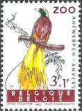 Belgium 1962 Animals of the Antwerp Zoo II - Birds-Stamps-Belgium-StampPhenom