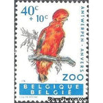 Belgium 1962 Animals of the Antwerp Zoo II - Birds-Stamps-Belgium-StampPhenom